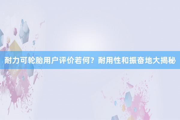 耐力可轮胎用户评价若何？耐用性和振奋地大揭秘