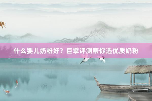 什么婴儿奶粉好？巨擘评测帮你选优质奶粉